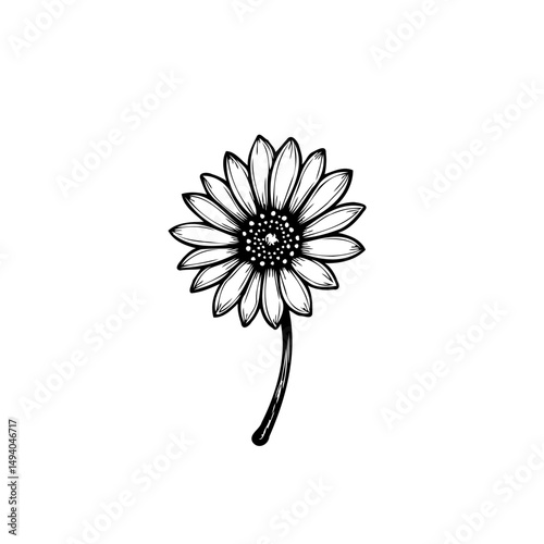 Elegant monochrome depiction of a blossoming flower with detailed textures