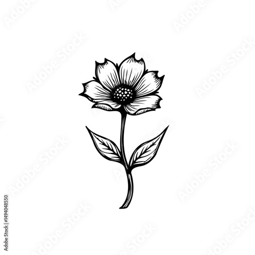 Elegant monochromatic floral botanical illustration on white canvas artwork