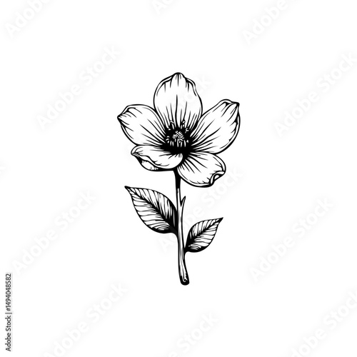 Elegant floral design featuring a delicate blossom, suitable for botanical illustrations