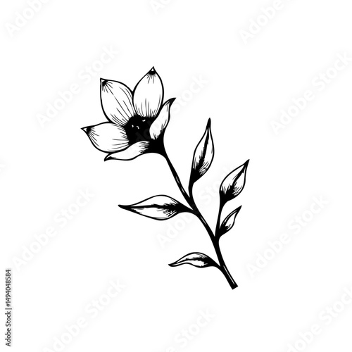 Elegant floral drawing presenting a delicate flower in a graceful display