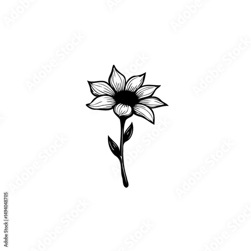 Elegant floral illustration with delicate lines on a simple white backdrop