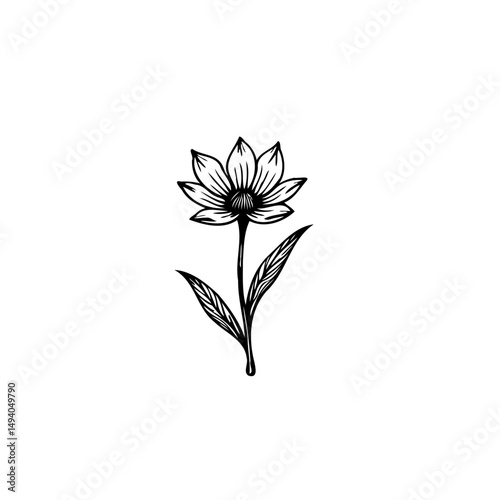 Elegant botanical line art illustration of a stylized flower with delicate details
