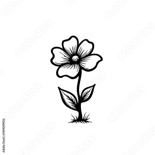 Elegant botanical illustration featuring a detailed black and white flower drawing
