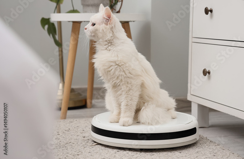 White fluffy cat sitting on...