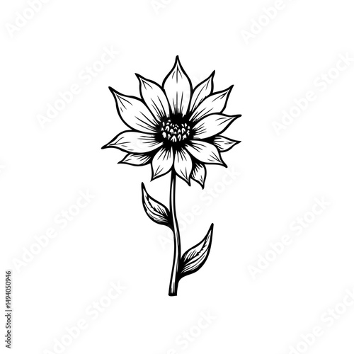 Elegant floral artwork featuring a detailed blossom with delicate shading and linework