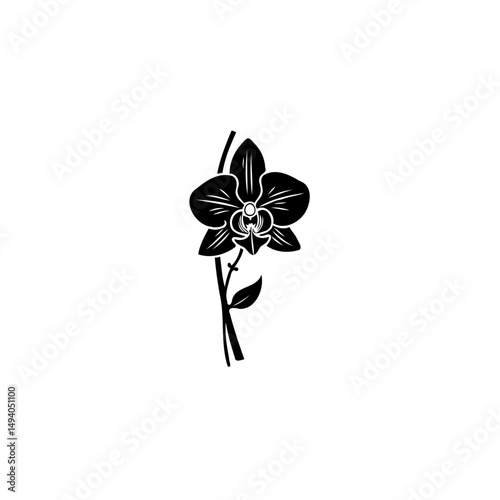 Elegant orchid blossom silhouette, a delicate floral emblem on a plain backdrop