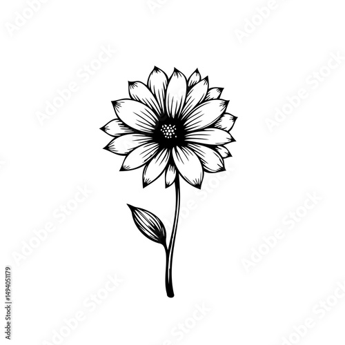 Detailed monochrome floral sketch of a daisy, embodying delicate botanical artistry