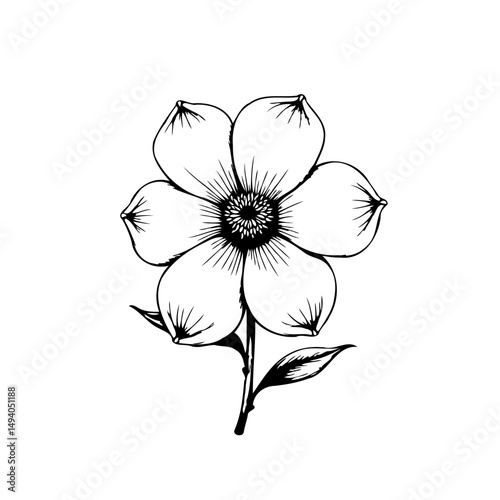 Elegant floral illustration showcasing intricate linework and botanical artistry