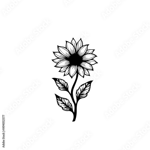 Elegant Black and White Sunflower Illustration for Botanical Designs and Artwork
