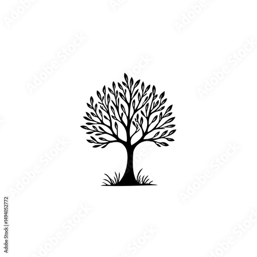 Elegant silhouette of a deciduous tree with detailed branches and foliage