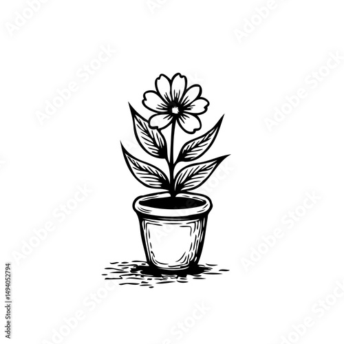 Simple botanical line drawing of flower with petals and leaves in pot