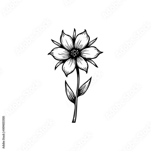 Elegant floral sketch of a blooming flower with delicate line work detail