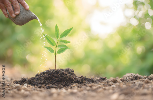 Gardener watering a young plant in a green outdoor setting during daylight hours