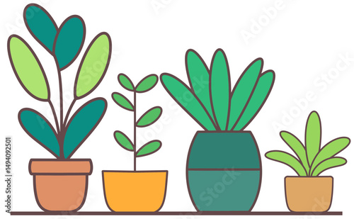 cactus in a pot