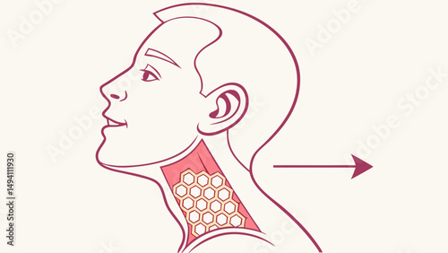 Detailed Human Throat Anatomy Diagram