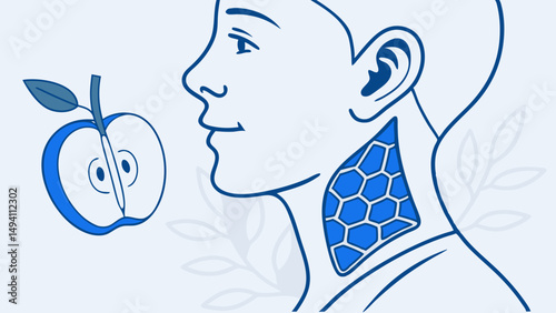 Thyroid Health Anatomy Diagram