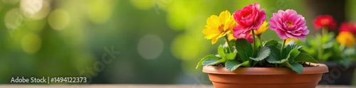 A cheerful spring scene featuring vibrant colorful flowers planted in a terracotta pot, ready to brighten any space Perfect for home decor, gardening, and springtime themes , nature, windowsill