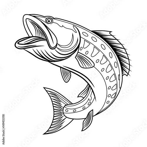 Snakehead fish vector isolated on white background