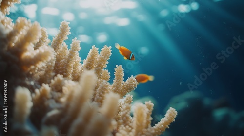 Colorful Tropical Fish Swimming Among Vibrant Coral Reef Underwater