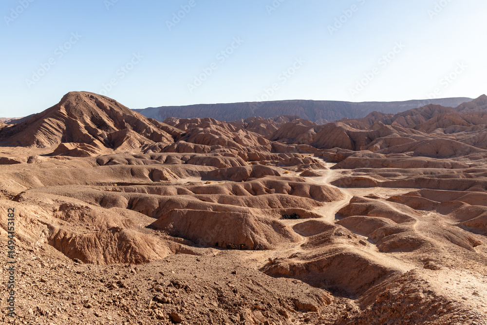 Fototapeta premium Undulating clay hills and dry canyons of the Cordillera de la Sal in the Atacama Desert, Chile, under clear sunlight. A raw and surreal natural landscape. Perfect for travel, editorial, and nature use