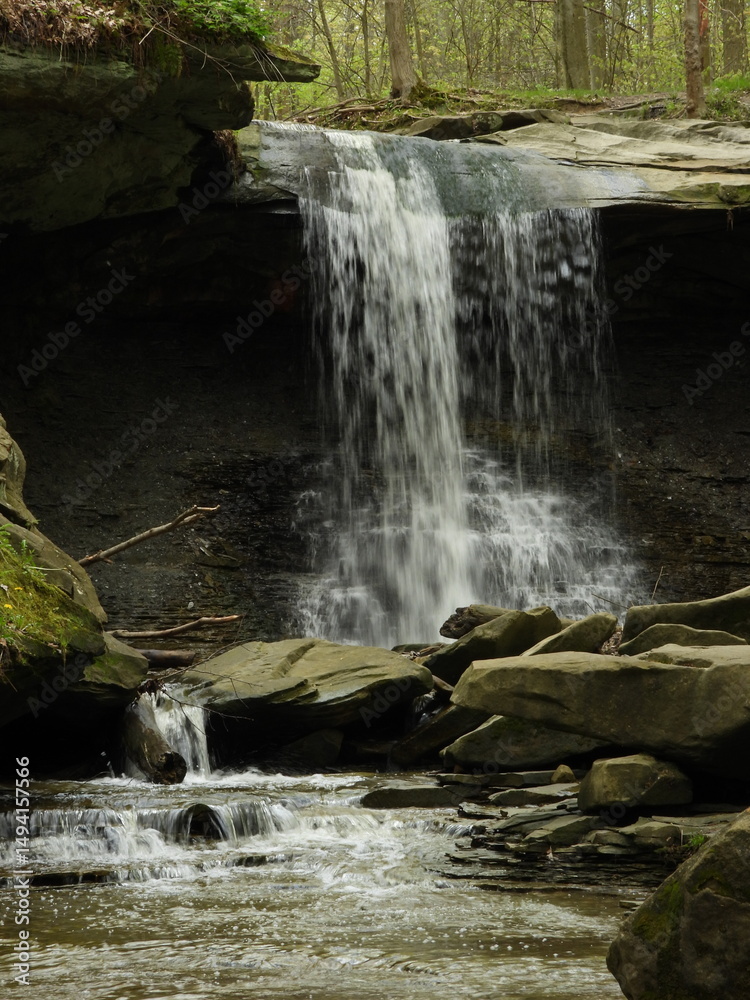 Obraz premium waterfall in the forest