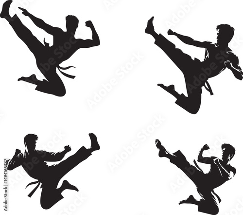 marshal art vector silhouette illustration on white background