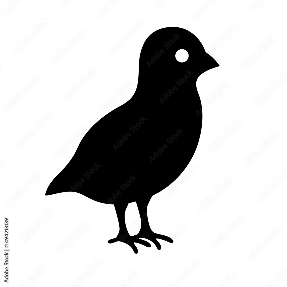 Fototapeta premium Silhouette of a Small Bird Standing with a White Eye on White