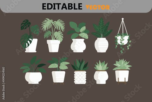 Collection of houseplants in white pots green leaves home decor
