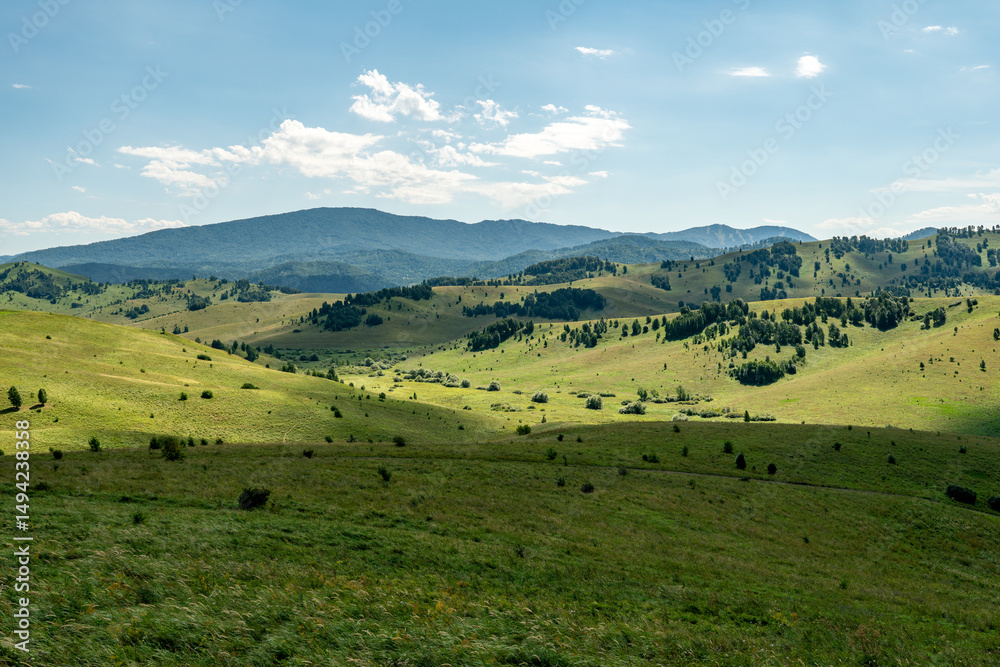 Obraz premium steppe, prairie, veld, veldt - grassy plain in the temperate and subtropical zones of the northern and southern hemisphere. Plateau. Hills.