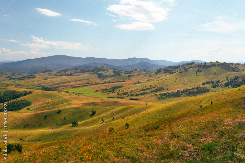 Naklejka premium beautiful autumn landscape with dry yellow-orange grass and hills. Beautiful landscape of mountains and a valley and road at sunset with blue sky Nature landscape scene.