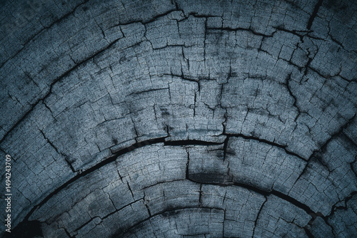 Grunge wooden texture for background or floor decorative design.