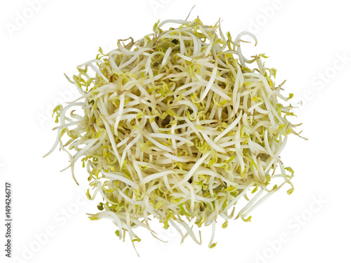 Fresh Organic Mung Bean Sprouts Pile with White Stems and Pale Yellow Tips Isolated on White Background