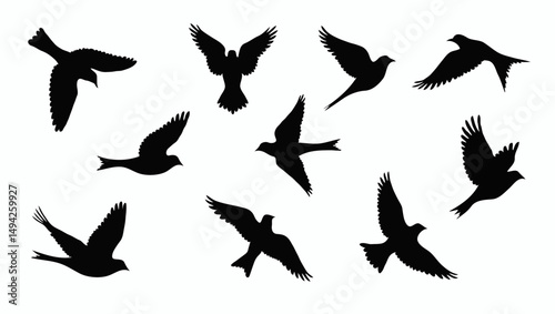bird silhouettes in flight showcase harmony and movement, soaring with grace across the vast sky. A symbol of nature’s unity and wild beauty, their wings create a dynamic flightpath, embodying freedom photo