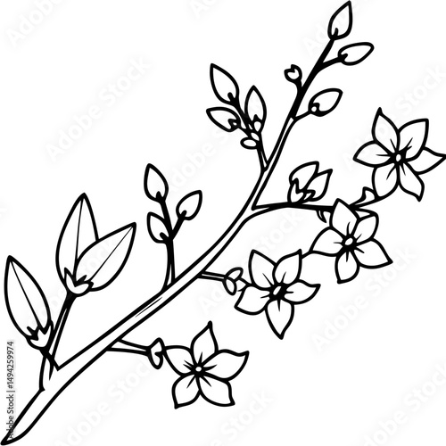 Spring Blossom Branches Silhouette on White Background