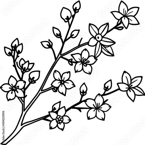 Spring Blossom Branches Silhouette on White Background