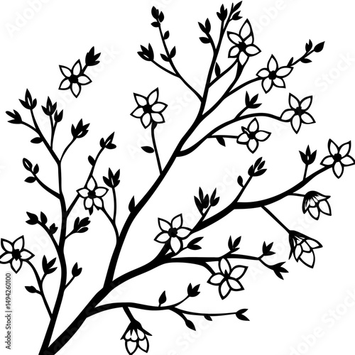 Spring Blossom Branches Silhouette on White Background