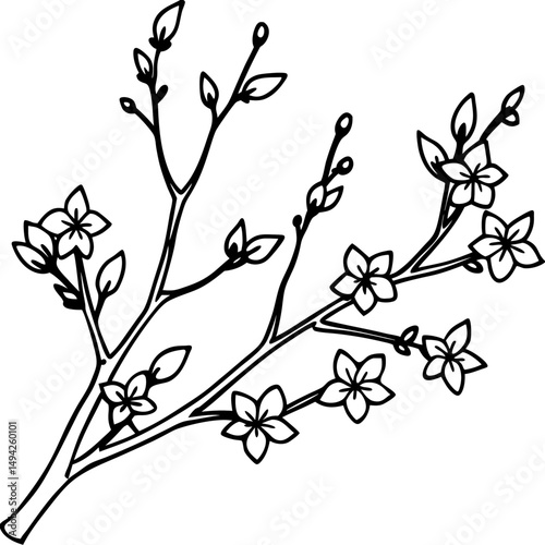 Spring Blossom Branches Silhouette on White Background