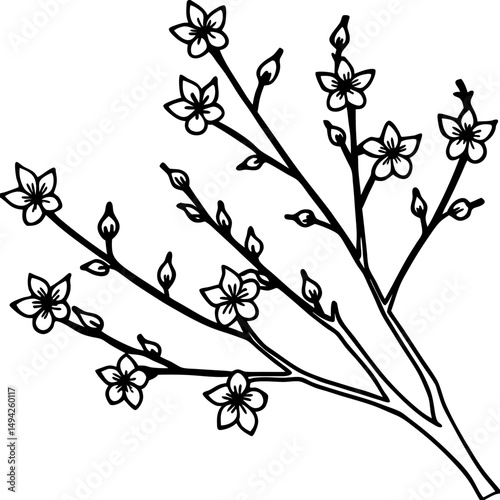 Spring Blossom Branches Silhouette on White Background