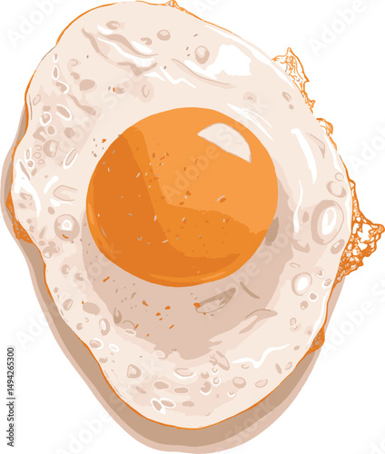Vector illustration of a sunny side up fried egg