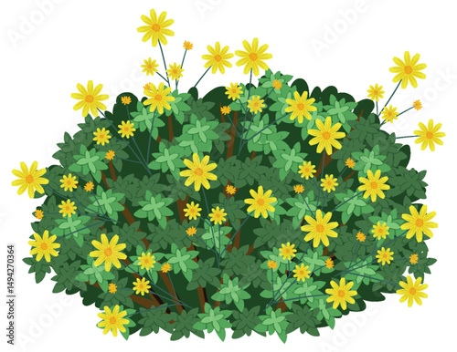Vibrant Yellow Flowers in Lush Green Foliage