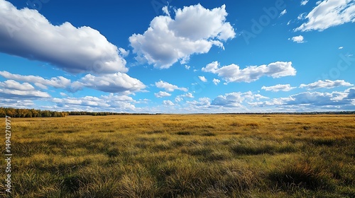 Fototapeta Naklejka Na Ścianę i Meble -  clouds in a blue sky over a grassy field with trees in the distance