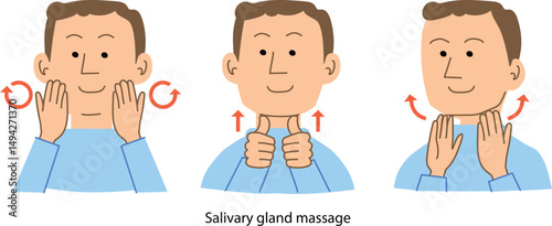 耳下腺、舌下腺、顎下腺、唾液腺のマッサージ方法のベクターイラスト

