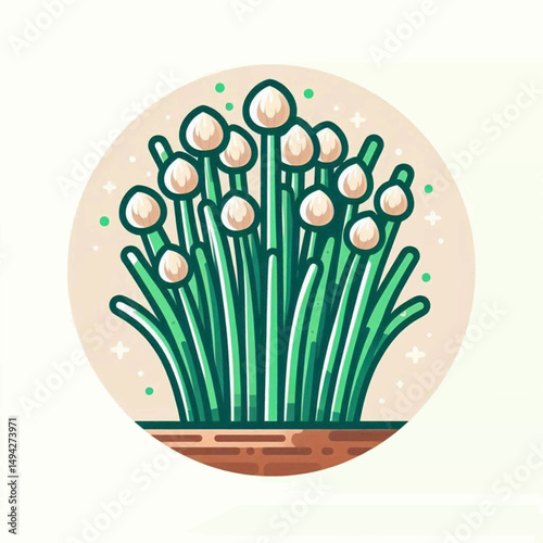 Chive Blossoms Green stalks  round buds bloom in a circle of earthtone delight