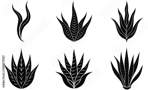 Snake Plant Silhouette Set – Vector Collection of Sansevieria Leaves for Botanical, Indoor Decor, and Minimalist Design Projects