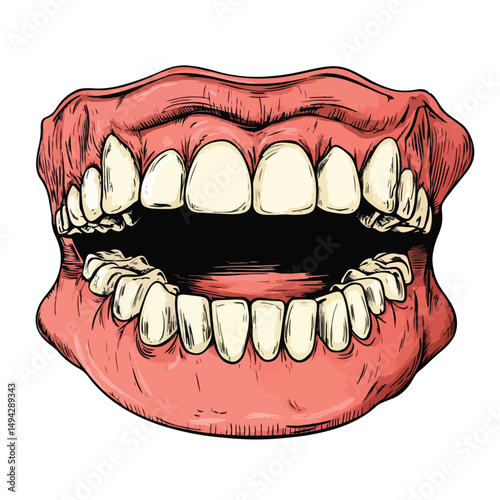 Teeth Clip art