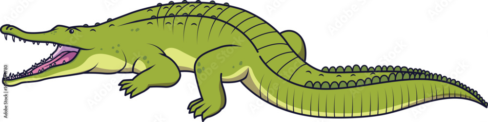 Obraz premium Crocodile Vector Illustration