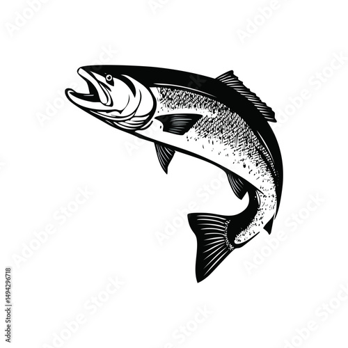 Brown Trout Vector Illustration

