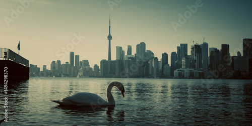 Canvas Print sunset on the river, duck, citylife, toronto