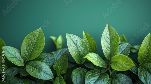 Realistic Green Leaves with Detailed Texture for Nature and Investment Concepts in Stock Photography