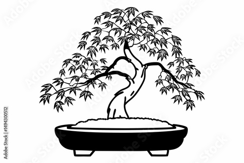 bonsai tree in a pot